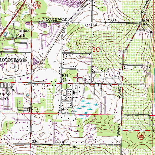 Topographic Map of Thonotosassa Branch Library Hillsborough County Public Library, FL