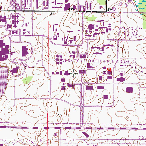 Topographic Map of University of South Florida Bio-Science Building, FL