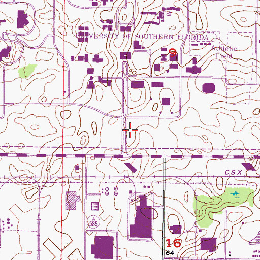 Topographic Map of University of South Florida Campus Information Center, FL