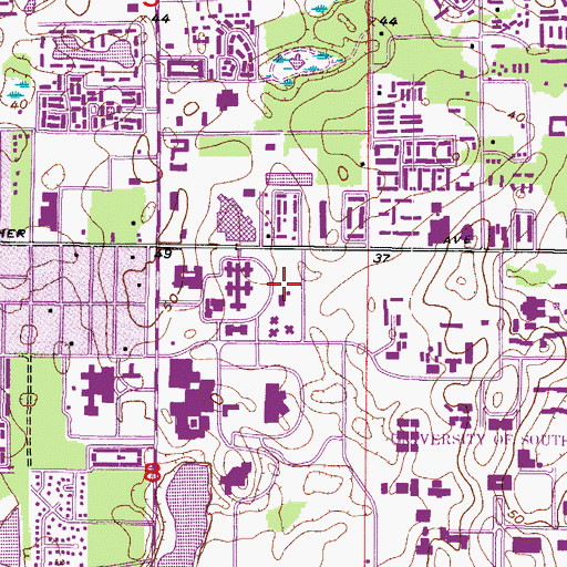 Topographic Map of University of South Florida Child and Family Studies Center, FL