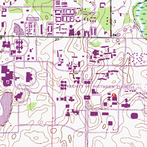 Topographic Map of University of South Florida Dance Building, FL