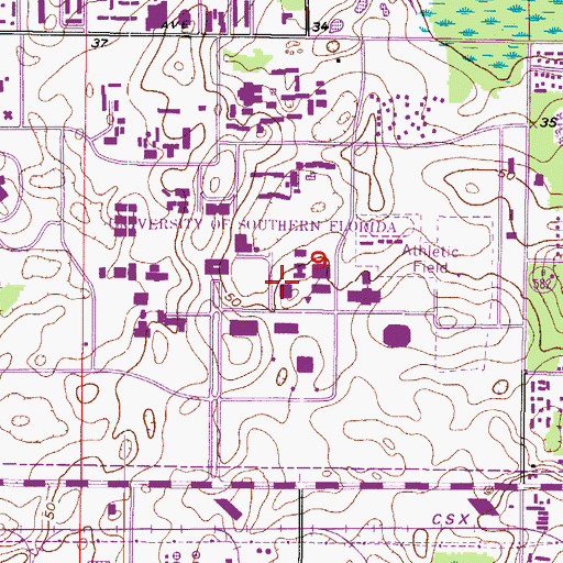 Topographic Map of University of South Florida Education Building, FL