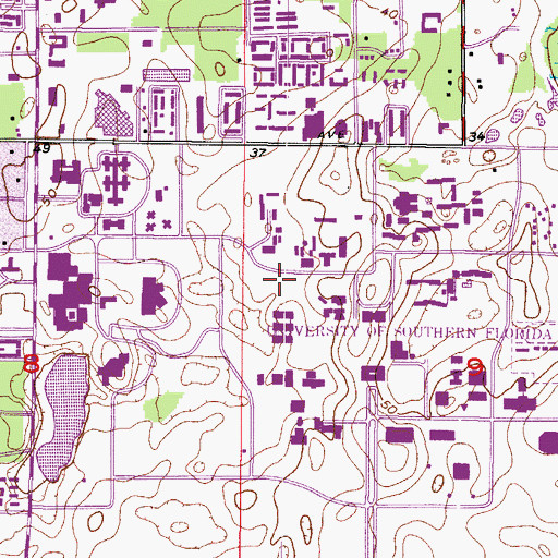 Topographic Map of University of South Florida Fine Arts Studio, FL