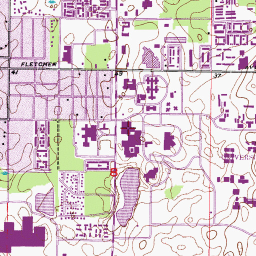 Topographic Map of University of South Florida Health Sciences Endoscopy Center, FL