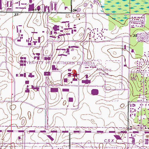 Topographic Map of University of South Florida Human Services Building, FL