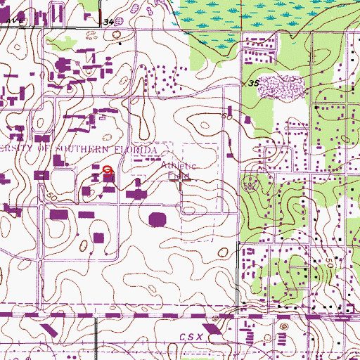 Topographic Map of University of South Florida Intercollegiate Athletic Facility, FL