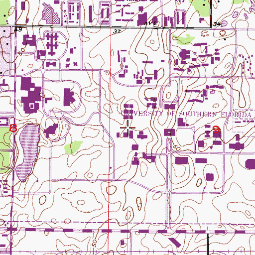 Topographic Map of University of South Florida Life Science Building, FL