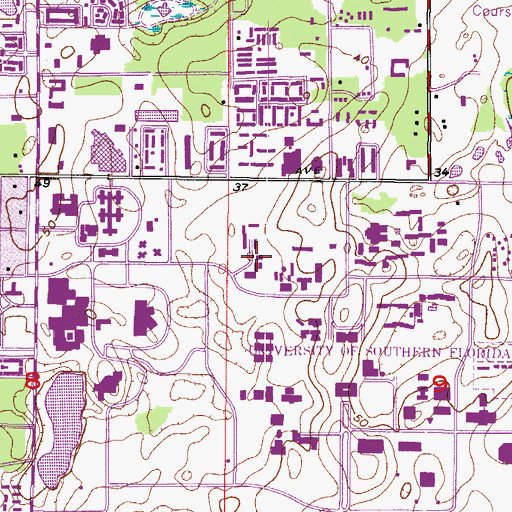 Topographic Map of University of South Florida Parking and Transportation Services Building, FL