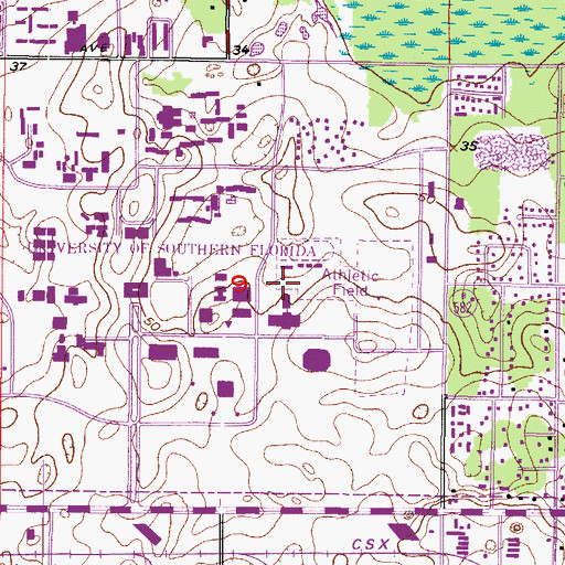 Topographic Map of University of South Florida Physical Education Building, FL