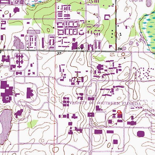 Topographic Map of University of South Florida Physical Plant Operations, FL