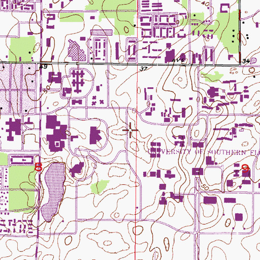 Topographic Map of University of South Florida Psychology and Communication Disorders Building, FL