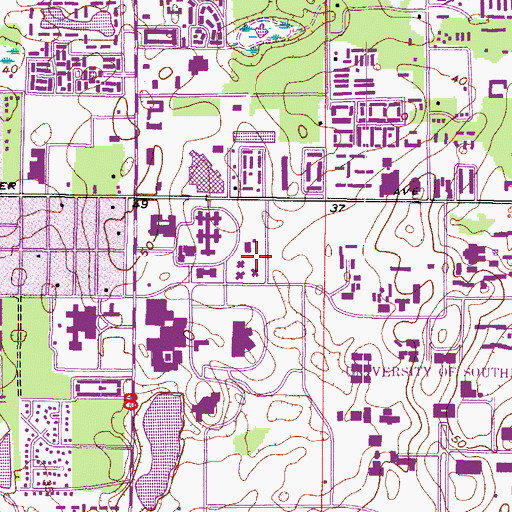 Topographic Map of University of South Florida Psychology Research Building, FL