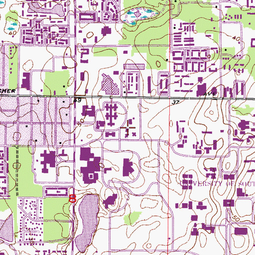 Topographic Map of University of South Florida School of Social Work, FL