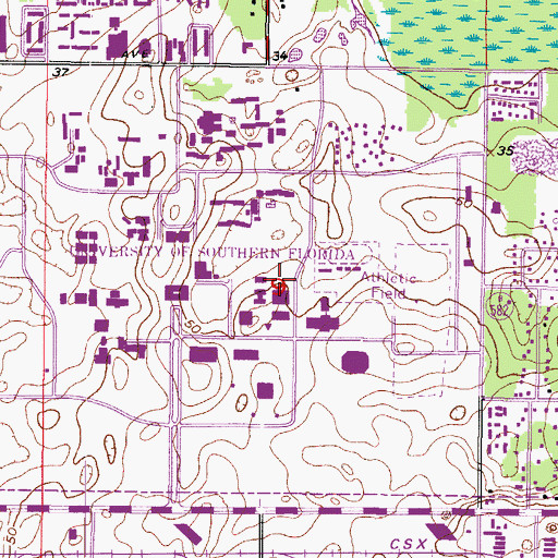 Topographic Map of University of South Florida Social Science Building, FL