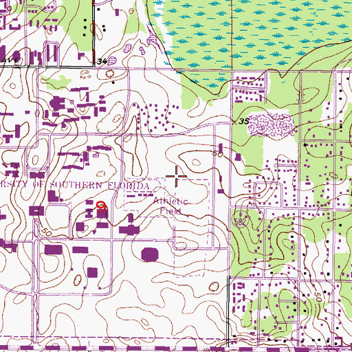 Topographic Map of University of South Florida Softball Complex, FL
