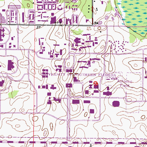 Topographic Map of University of South Florida Student Services Building, FL
