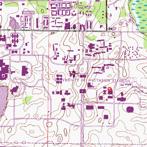 Topographic Map of University of South Florida Teaching Auditorium and Theatre I, FL