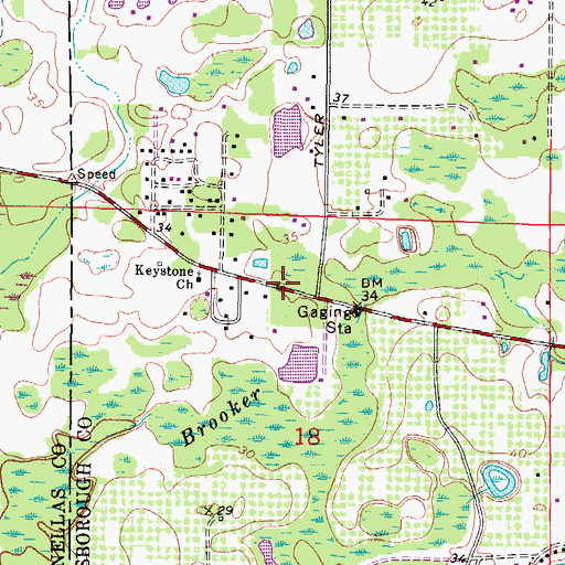 Topographic Map of Bible Basics International Church, FL