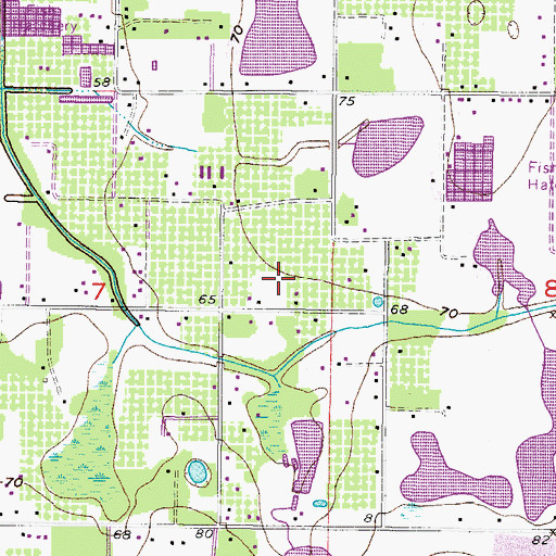 Topographic Map of Austin Oaks, FL