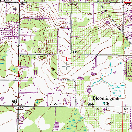 Topographic Map of Avalon Terrace, FL