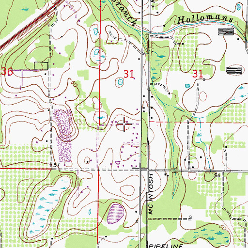 Topographic Map of Badgers Lair, FL
