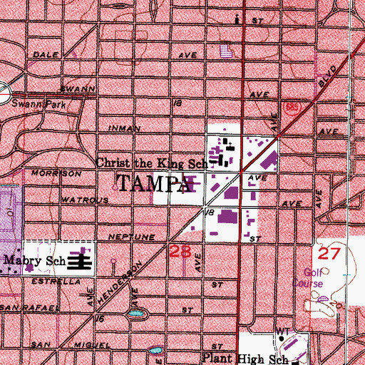 Topographic Map of Barnelia, FL