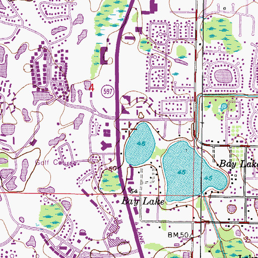 Topographic Map of Bay Lake, FL