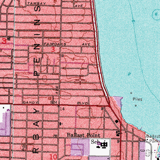 Topographic Map of Bayshore Court, FL