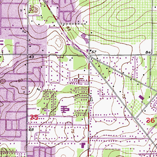 Topographic Map of Bell Shoals Gardens, FL