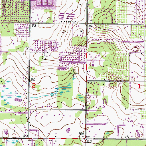 Topographic Map of Belle Timbre, FL