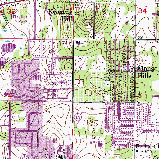 Topographic Map of Big Pines, FL