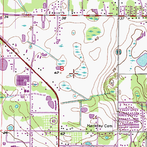 Topographic Map of Bloomingdale Ridge, FL