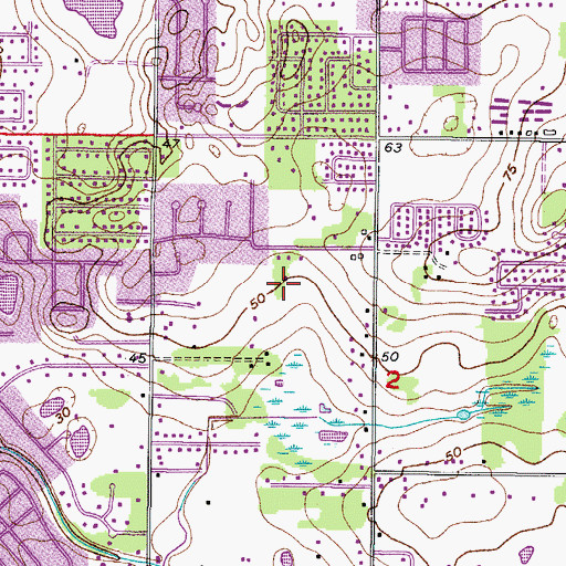 Topographic Map of Bloomingdale Village, FL