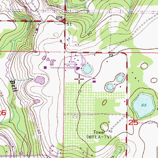 Topographic Map of Boyette Creek, FL