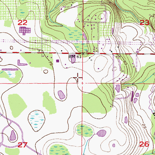 Topographic Map of Boyette Springs, FL