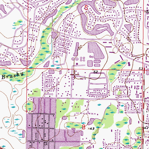 Topographic Map of Bradford, FL
