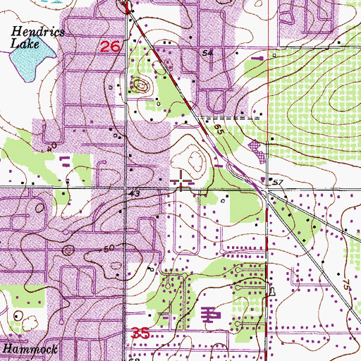 Topographic Map of Primera Iglesia Cristiana Hispana de Brandon, FL