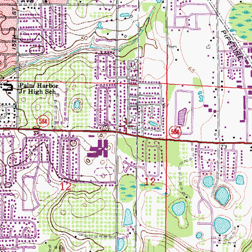 Topographic Map of Unity Church of Palm Harbor, FL