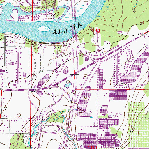 Topographic Map of Interchange 250, FL