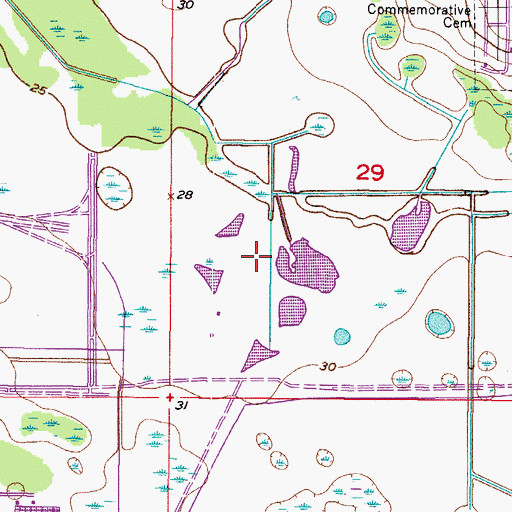 Topographic Map of Interchange 256, FL