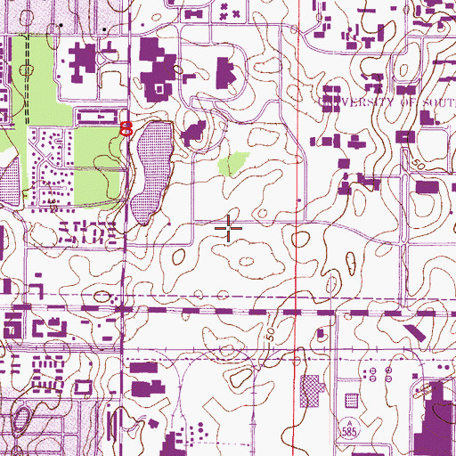 Topographic Map of University Diagnostic Institute, FL
