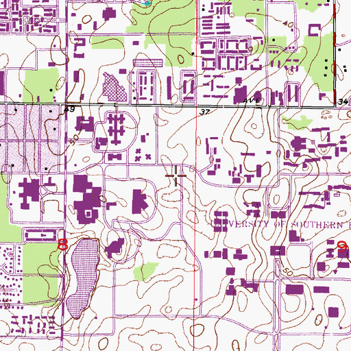 Topographic Map of University of South Florida Eye Institute, FL
