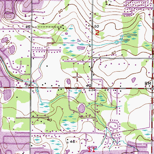 Topographic Map of Bloomingdale Executive Park, FL