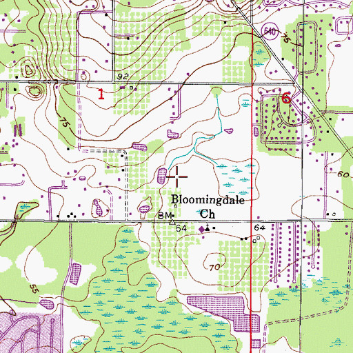 Topographic Map of Bloomingdale Oaks Executive Park, FL