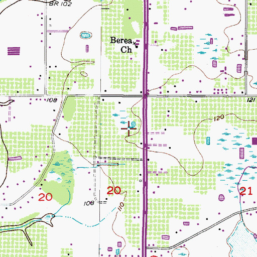 Topographic Map of Carey Groves, FL