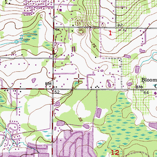 Topographic Map of Executive Park of Valrico, FL