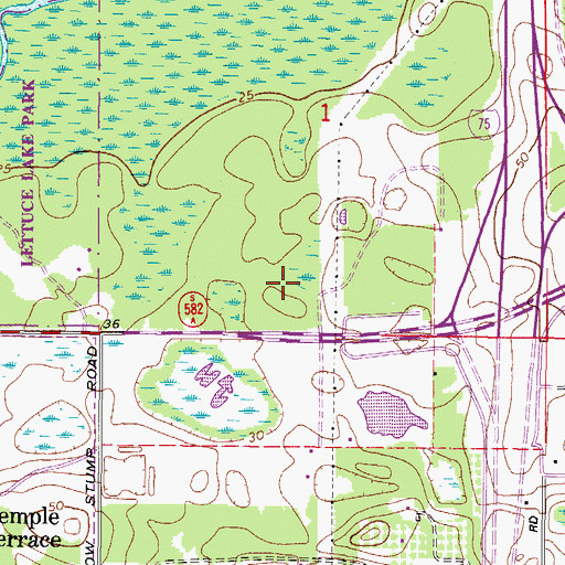 Topographic Map of Hidden River Corporate Park, FL