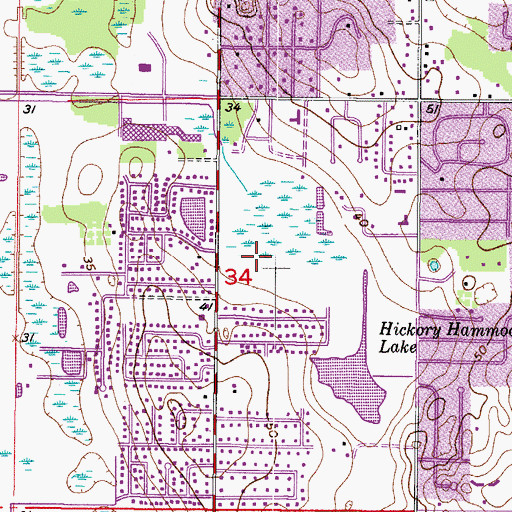 Topographic Map of Kings Avenue Executive Park, FL