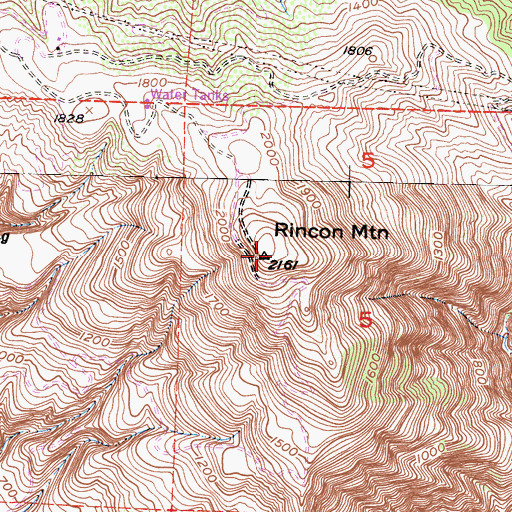 Topographic Map of Rincon Mountain, CA