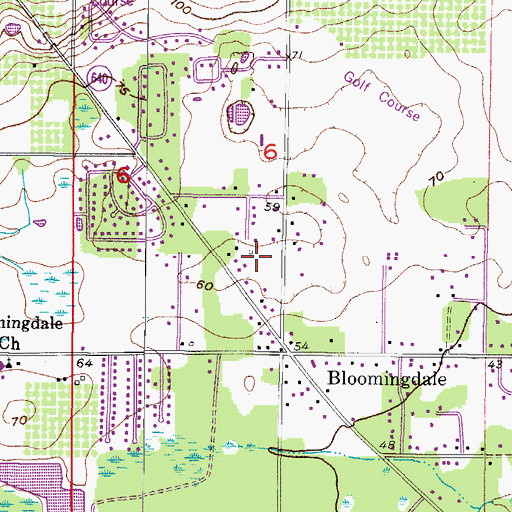 Topographic Map of Lithia Miller Commercial Center, FL